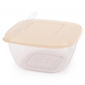 Контейнер 2л крыш беж,квадр (19,5х19,5 h10см) (18)