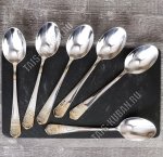 РУБЕНС  Ложка столовая 6шт, золото (100)