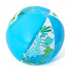 Мяч пляжный d51см 