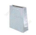 Пакет бумажный,голографический (h21х18см, дно8см) серебро (12)
