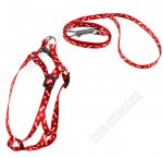 Шлейка+поводок для маленьких пород, размер S 6-10кг (L100х1см)