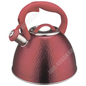Чайник нерж 3,0л красный (6) 