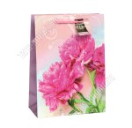 Пакет бумажный (h24х17см, дно8см) 