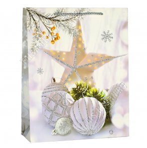 Пакет бумажный (h24х18см, дно8,5см) 