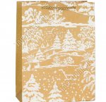 Пакет бумажный (h24х18см, дно8,5см) 