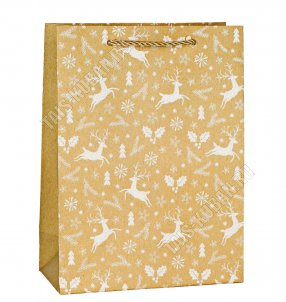 Пакет бумажный (h24х18см, дно8,5см) 