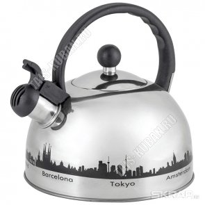 Чайник нерж ТЕРМО 2,5л 