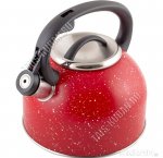 Чайник нерж 2,5л 