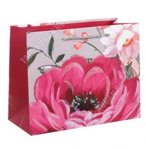 Пакет бумажный (h18х23см, дно10см) 