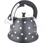 Чайник нерж 3,0л 