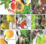 Клеенка глянец 