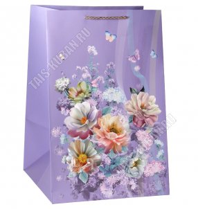Пакет бумажный (h54х36х30см) 210г/м2 