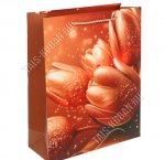 Пакет бумажный (h32х26см) 210г/м2 