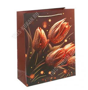 Пакет бумажный (h32х26см) 210г/м2 