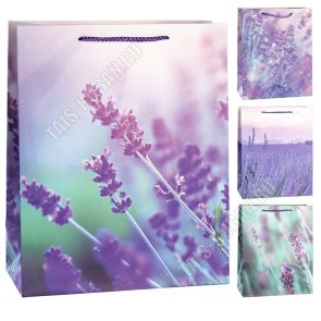 Пакет бумажный (h23х18см) 210г/м2 
