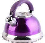 Чайник нержавеющая сталь цветной 3,0л,фиолетовый,свисток,индукционное дно,нейлоновая ручка с механическим открыванием,зеркальная полировка,подарочная упаковка (12)