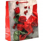 Пакет бумажный (h32х26см) 