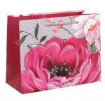 Пакет бумажный (h18х23см, дно10см) 