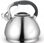 Чайник нерж 4,5л свисток (12)