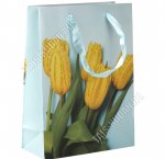 Пакет бумажный (h24х17см) 210г/м2 