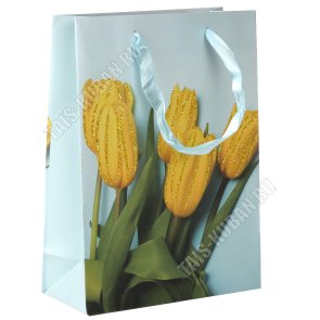 Пакет бумажный (h24х17см) 210г/м2 