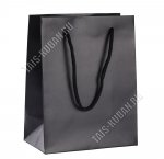 Пакет бумажный (h18х14см) 