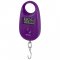 Весы безмен эл. 25кг,дел.5гр,LCD-диспл,пит.1*СR2032,фиолетов (12) 