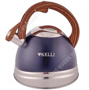 Чайник нерж 3,0л синиий матовый (12) 