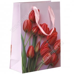 Пакет бумажный (h24х17см) 210г/м2 