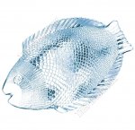 MARINE BLUE Н-р тарелок 6шт 16х22см (ф.рыбы) п/у (4)