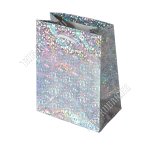 Пакет бумажный,голографический (h14х11см) серебро (12)