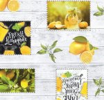 Клеенка (плотн.345гр/м2) 