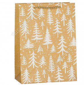 Пакет бумажный (h24х18см, дно8,5см) 