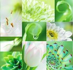 Клеенка глянец 