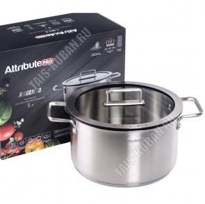 Argento Кастрюля 5,0л d24см (4) 