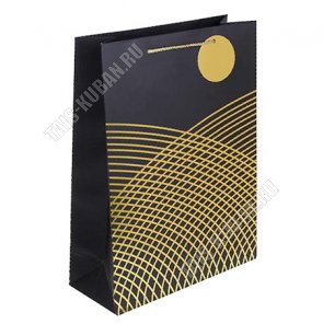 Пакет бумажный (h40х30см) 210г/м2 