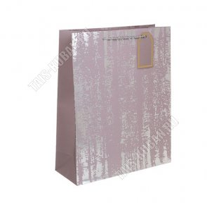 Пакет бумажный (h32х26см) 210г/м2 