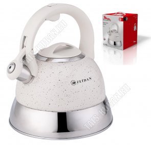 Чайник нерж 3,0л 