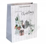 Пакет бумажный (h32х26см, дно12см)