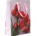 Пакет бумажный (h24х17см) 210г/м2 