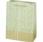 Пакет бумажный (h24х18см, дно10см) 