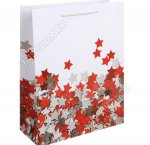 Пакет бумажный (h32х26см, дно10см) 