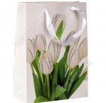 Пакет бумажный (h24х17см) 210г/м2 
