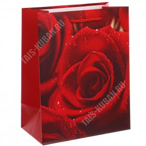 Пакет бумажный (h23х18см) 210г/м2 